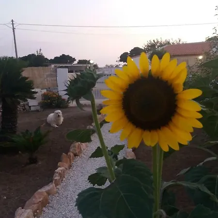 Holiday home Il Casalino *