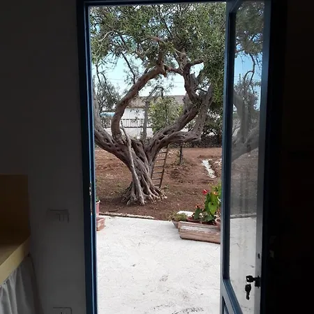 Holiday home Il Casalino